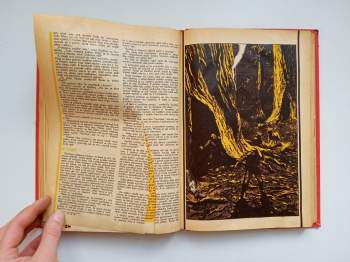 Pionýr: KOMPLETNÍ ROČNÍK XIX. 1971