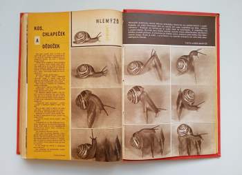 Pionýr: KOMPLETNÍ ROČNÍK XIX. 1971