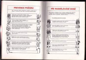 Karel Polomis: Pionýrské tábory ROH