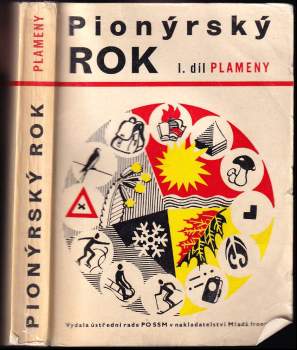 Pionýrský rok