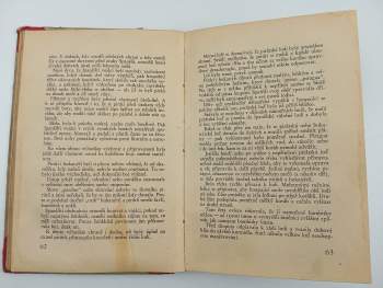 Berty Ženatý: Piráti a bukanýři