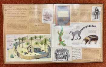 Dugald A. Steer: Pirátologie