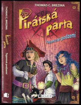 Pirátská parta