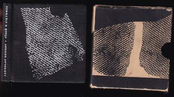 Jaroslav Seifert: Píseň o Viktorce