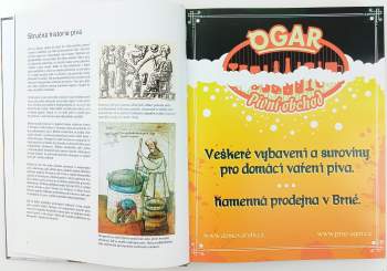 Petr Novotný: Pivařka