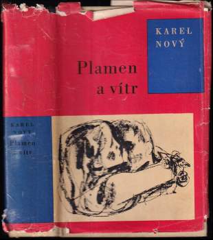 Plamen a vítr
