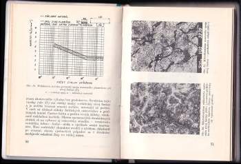 Michal Bašista: Plameň v opravárstve sivej liatiny