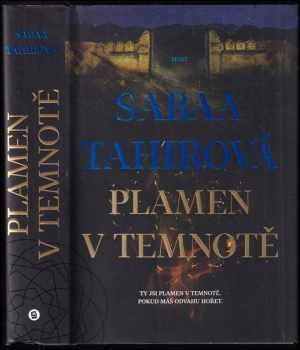 Plamen v temnotě