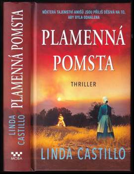 Linda Castillo: Plamenná pomsta