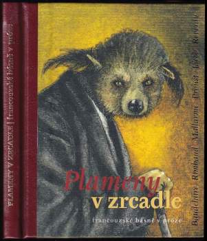 Plameny v zrcadle