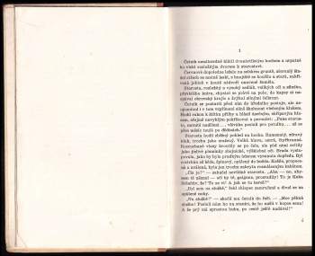 Vojtěch Martínek: Plameny