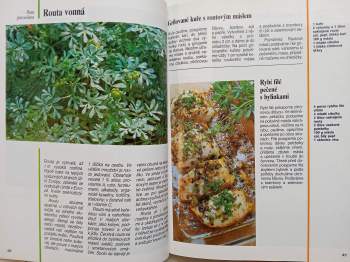 Plané rostliny v kuchyni