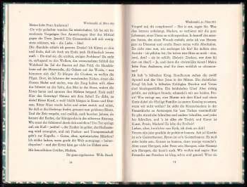 Wilhelm Busch: Platonische Briefe an eine Frau