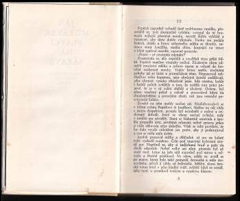 Jan Morávek: Plavci na Sázavě