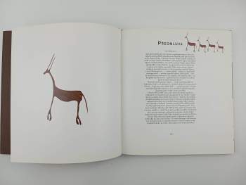 Miroslav Bárta: Plavci v písku