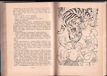 Johan Fabricius: Plavčíci kapitána Bontekoea