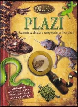 Plazi