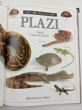Colin McCarthy: Plazi