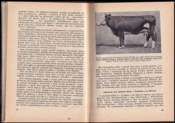 Josef Kopecký: Plemena hospodářských zvířat