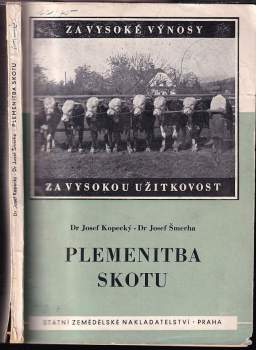 Plemenitba skotu