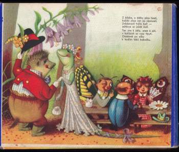 Darja Hajská: Ples na paloučku