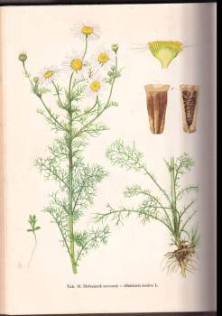 Miloš Deyl: Plevele polí a zahrad