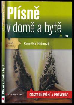 Plísně v domě a bytě