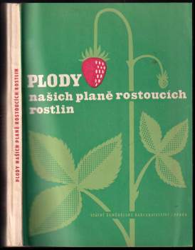 Plody našich planě rostoucích rostlin