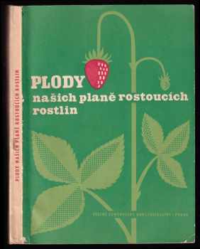 Plody našich planě rostoucích rostlin