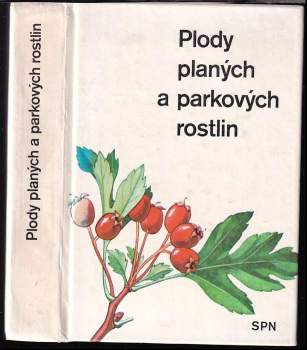 Plody planých a parkových rostlin