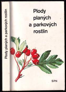 Plody planých a parkových rostlin