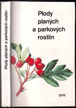 Plody planých a parkových rostlin