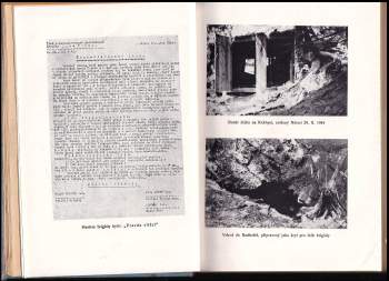 Josef Filgas: Ploština v plamenech