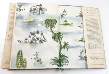 Vladimir Afanasjevič Obručev: Plutonie