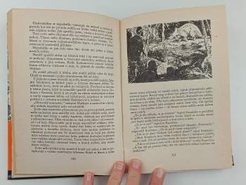 Vladimir Afanasjevič Obručev: Plutónie