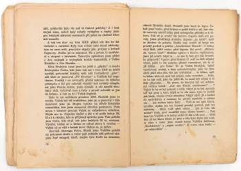 František Robert Kraus: Plyn, plyn ..., pak oheň