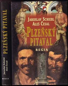Plzeňský pitaval