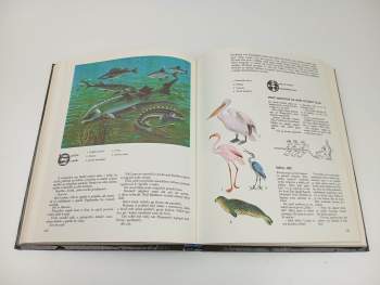 Jaroslav Pacovský: Po mořích kolem světa