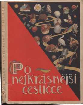 Po nejkrásnější cestičce