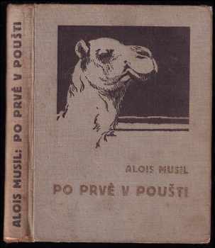 Po prvé v poušti