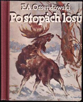 Po stopách losů