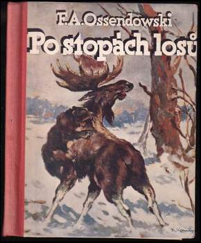 Po stopách losů