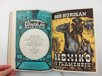 Max Brand: Hvízdavý Dan