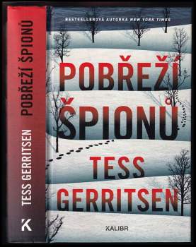 Tess Gerritsen: Pobřeží špionů