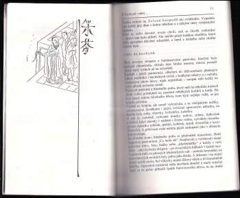 Vladimír Sís: Počítání nudliček v jarní polévce