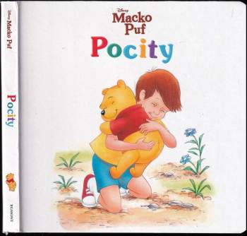 Pocity