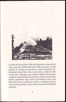Winfried G Sebald: Pocity, závratě