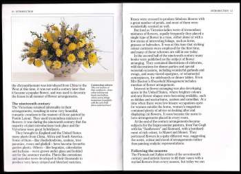 Malcolm Hillier: Pocket Encyclopaedia of Flower Arranging (DK Pocket Encyclopedia)