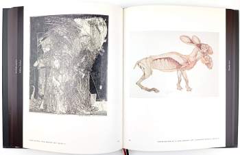 Václav Hollar: Pocta Václavu Hollarovi