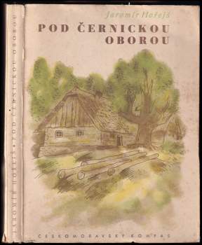 Pod Černickou oborou